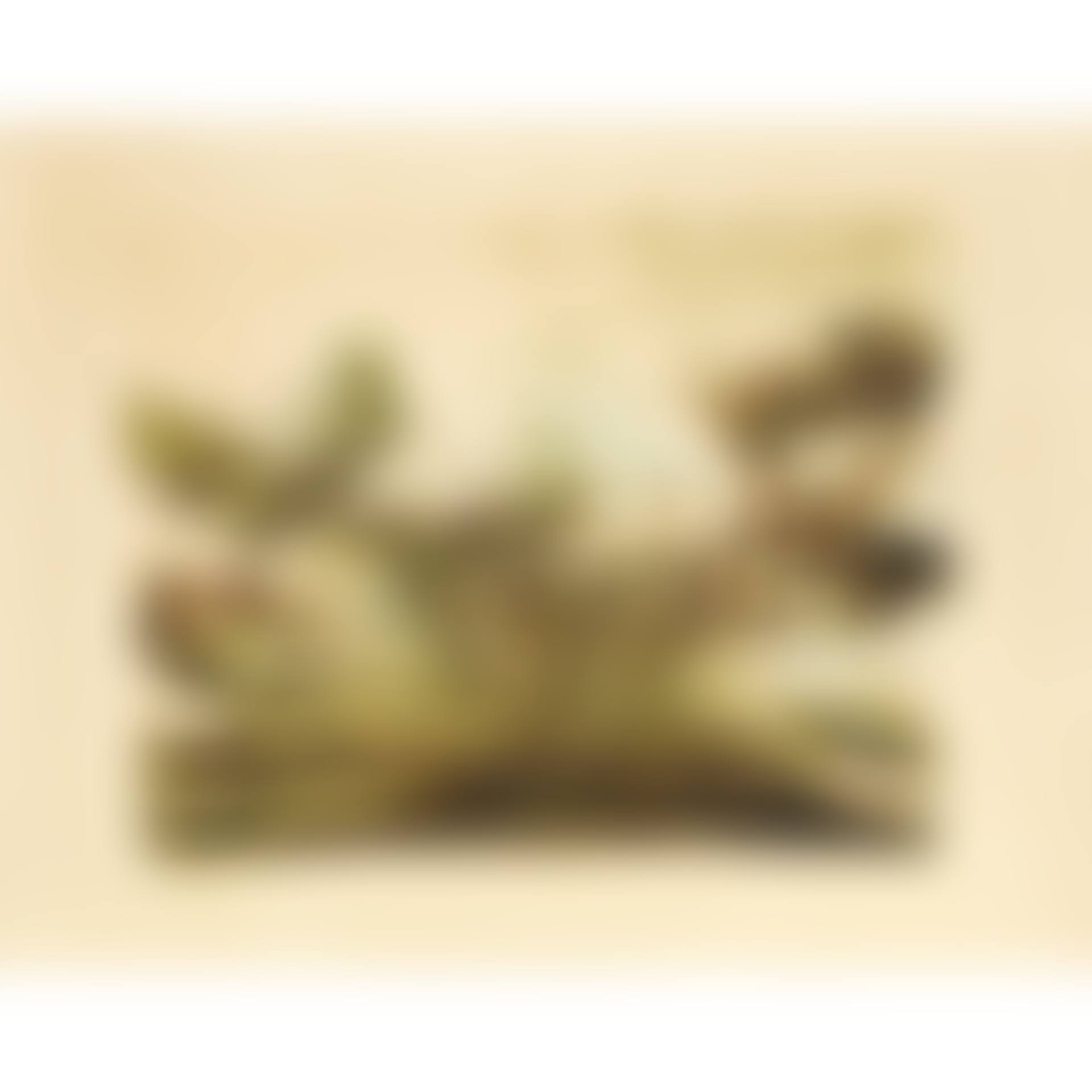COMPOSITION (preview)