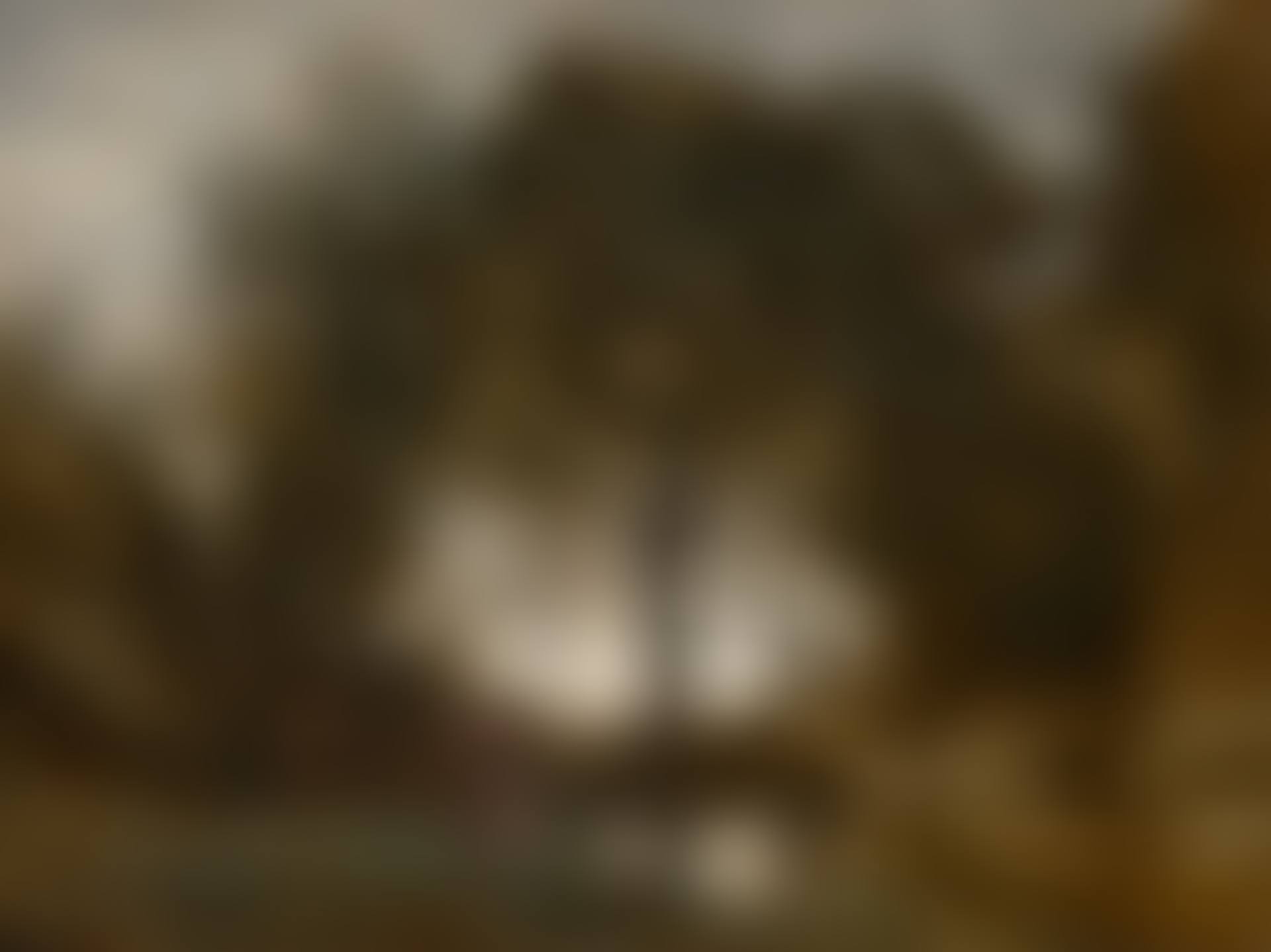Nymphes et faunes (preview)