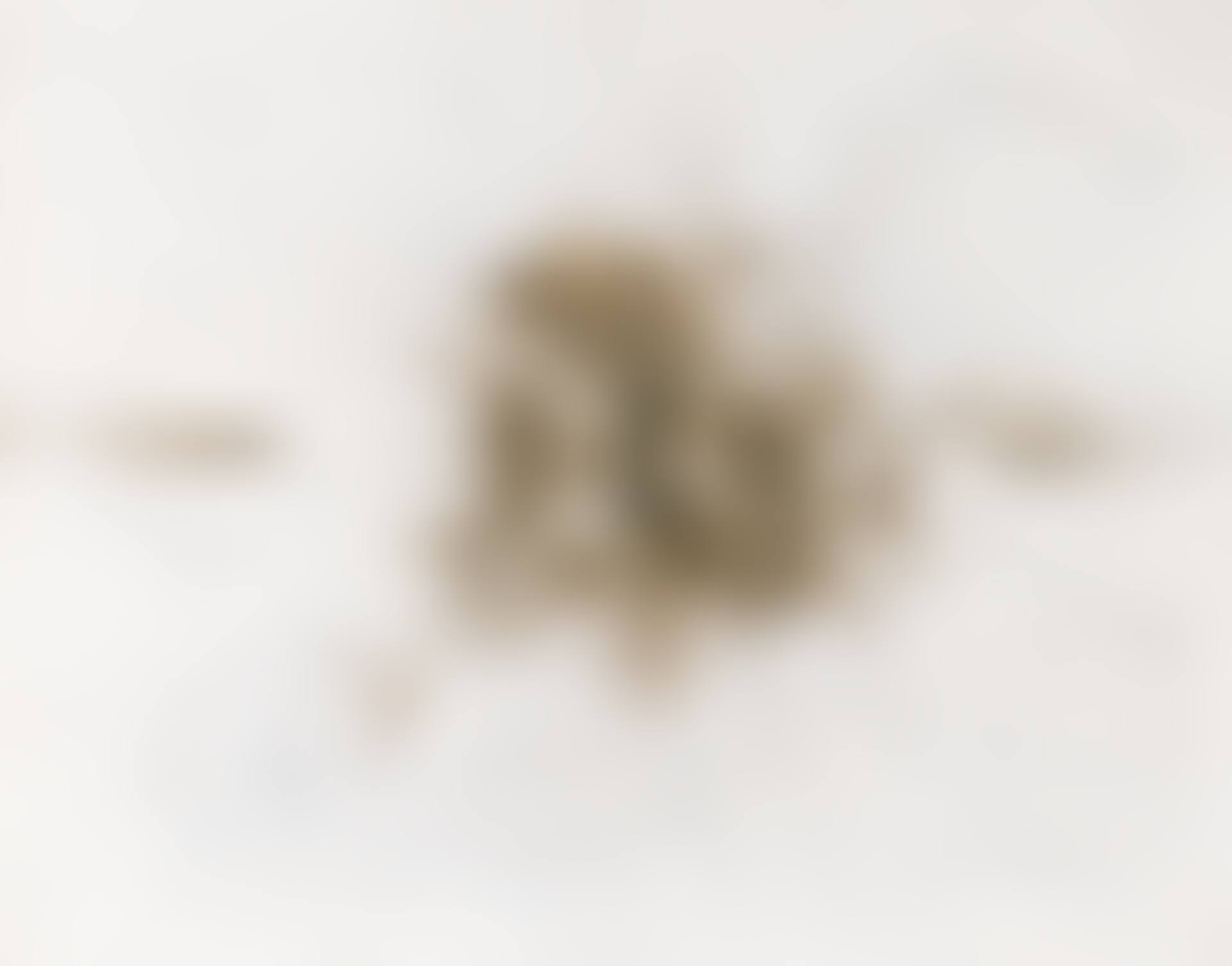 Fetus Movement：Project For Extraterrestrials No：5 (preview)