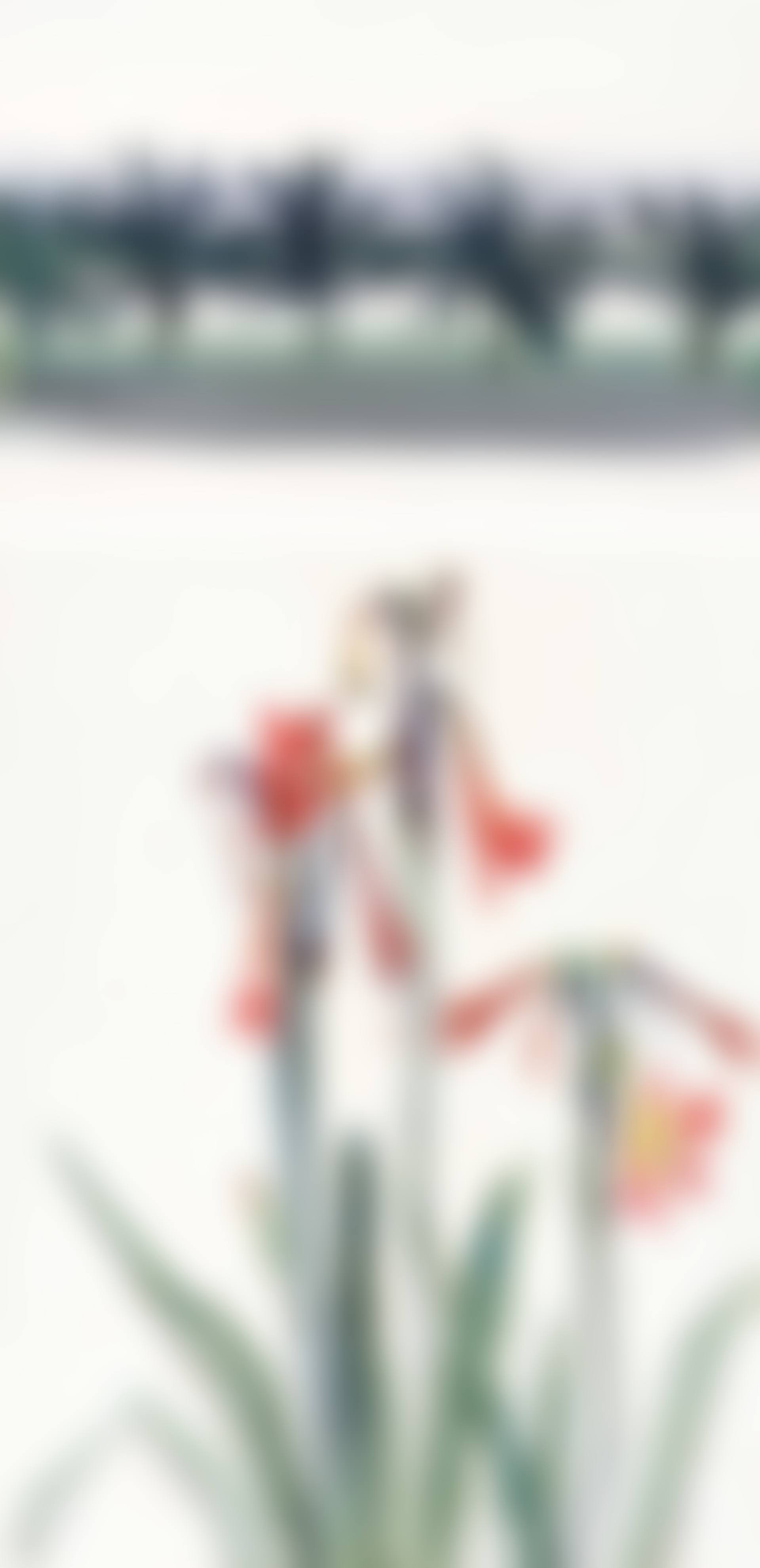 Lanscape and Amaryllis (preview)