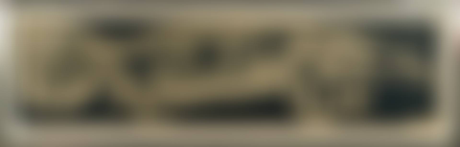 Anteater (preview)