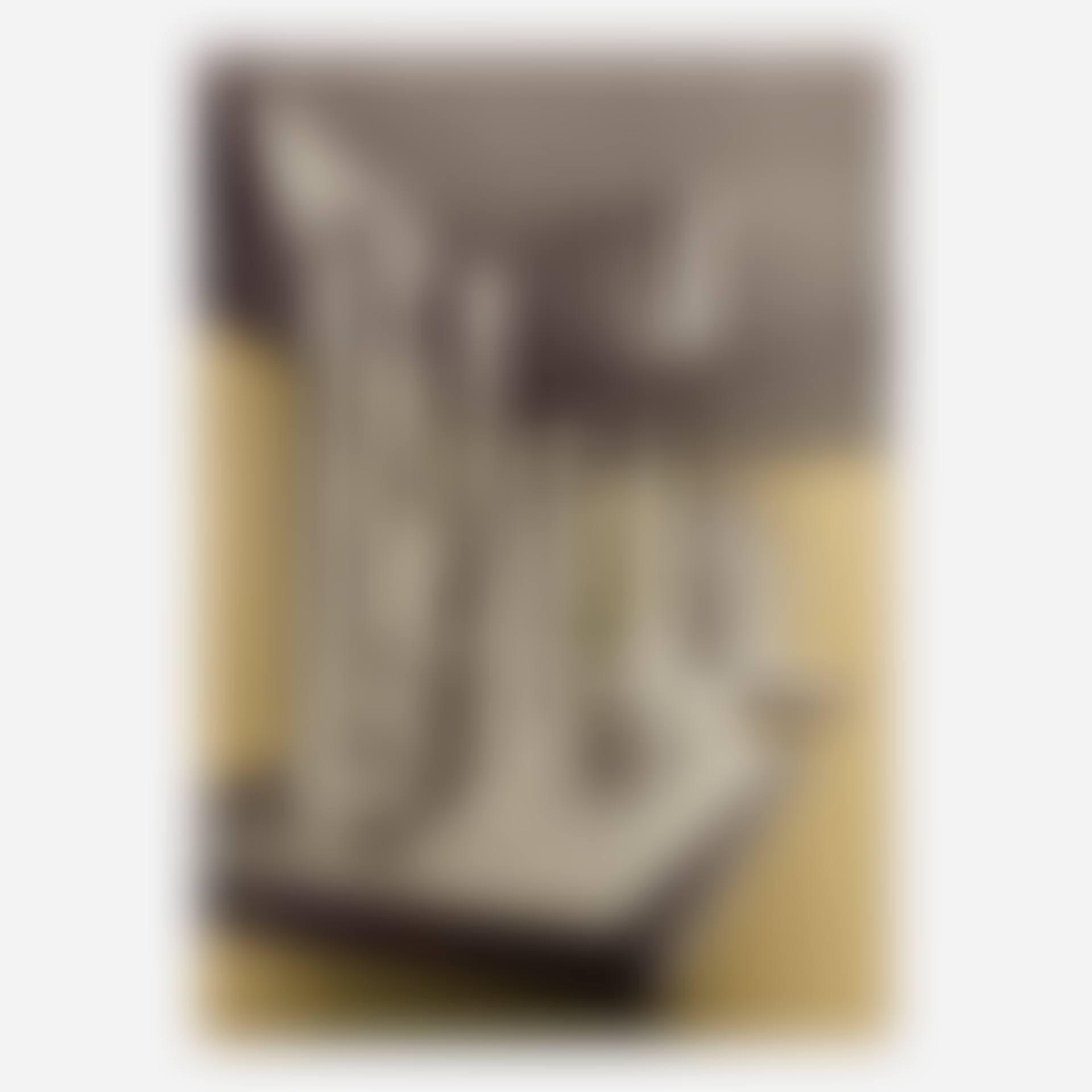Bicentennial Dawn (preview)