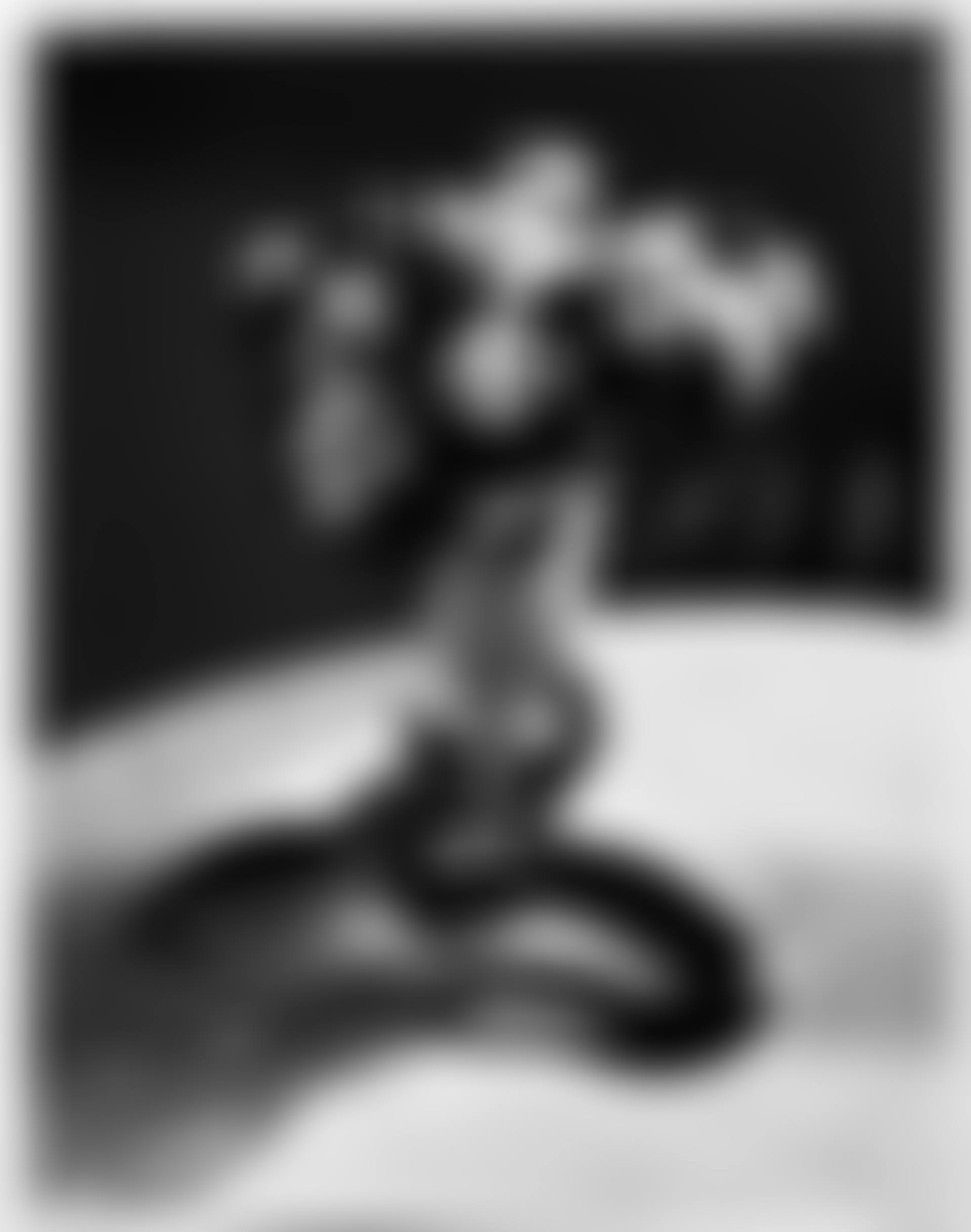 Still Life Portfolio 1926-1978 (preview)