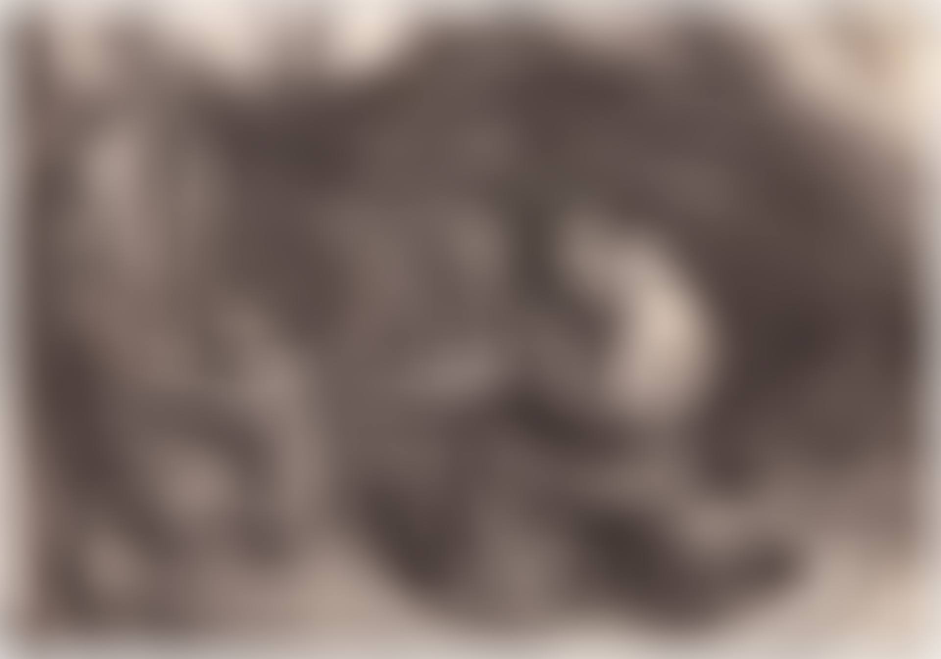 St Francis (Pennington 164; Hollstein p. 70) (preview)