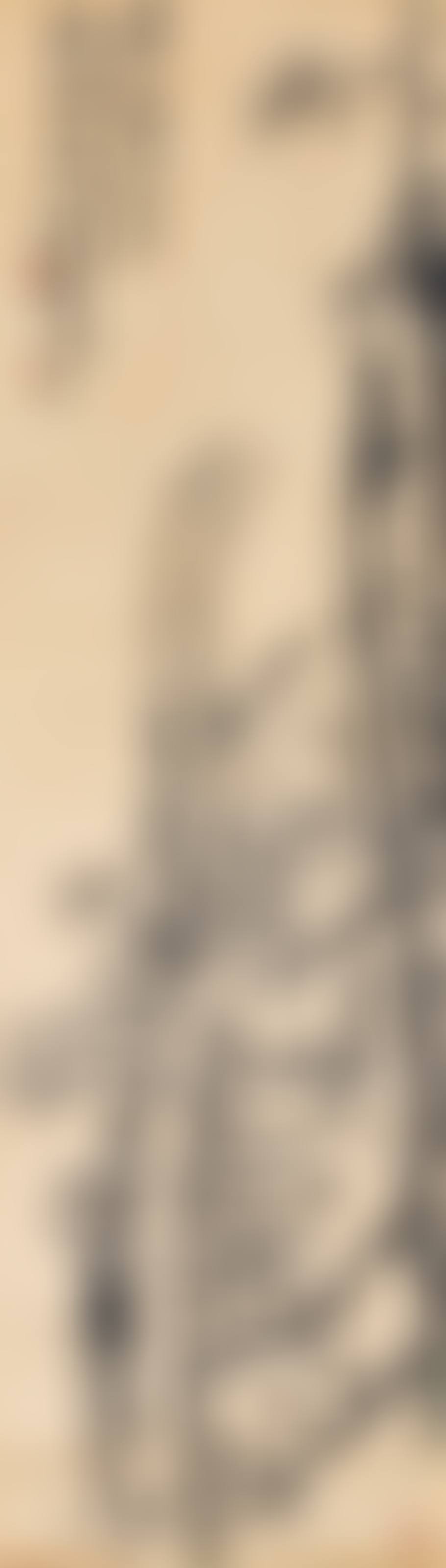 Ink Plum Blossoms (preview)