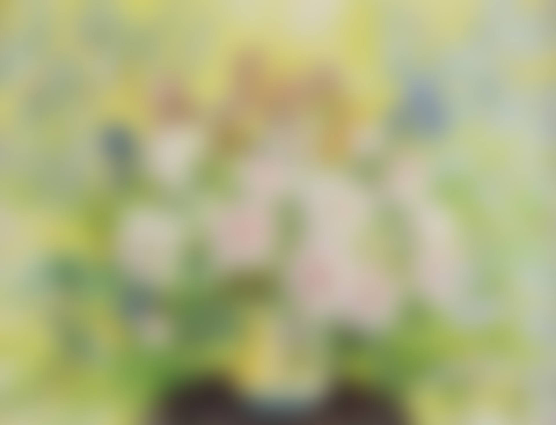 Fleurs (Flowers) (preview)