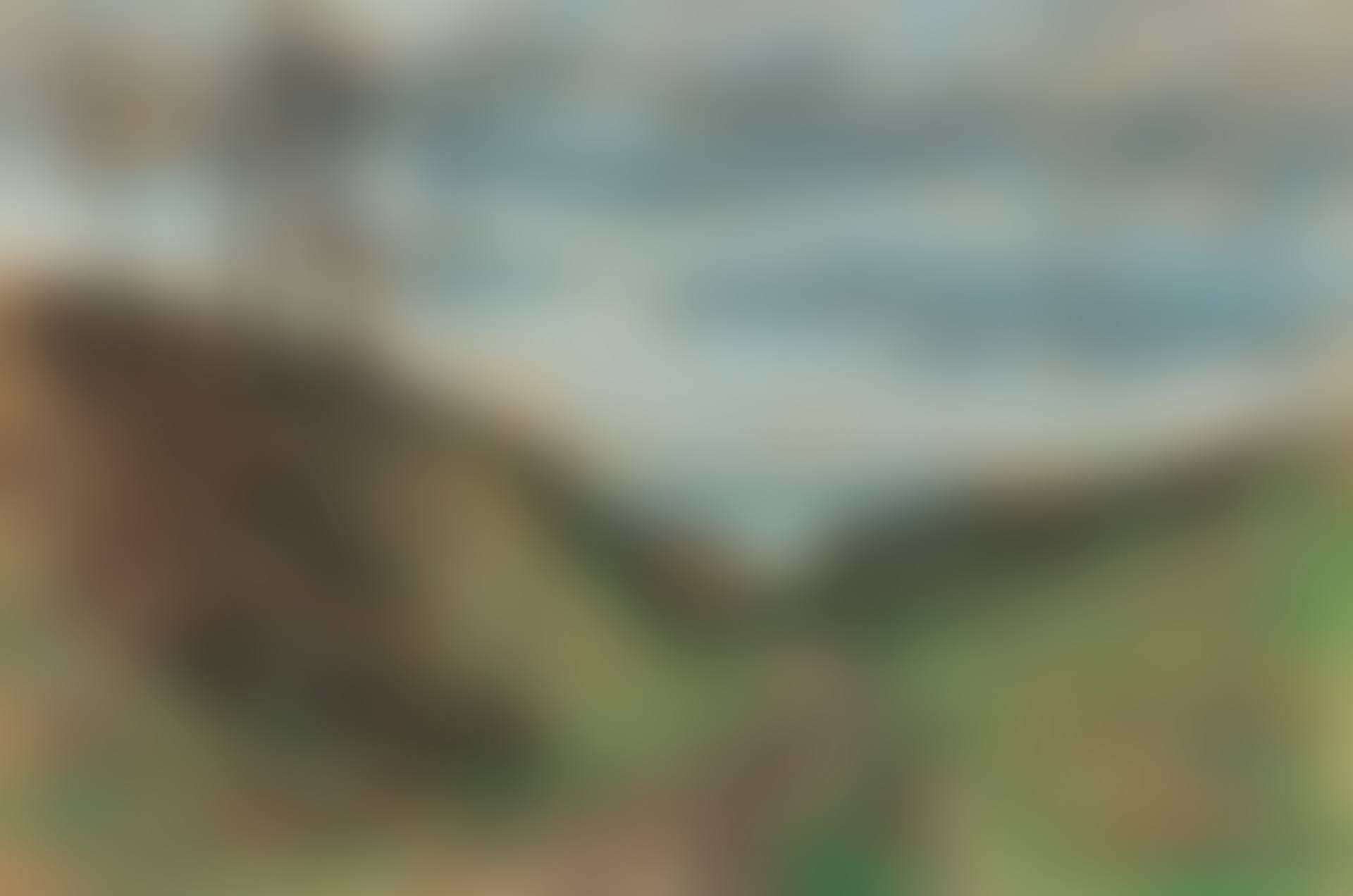 Chemin creux, Pourville (preview)
