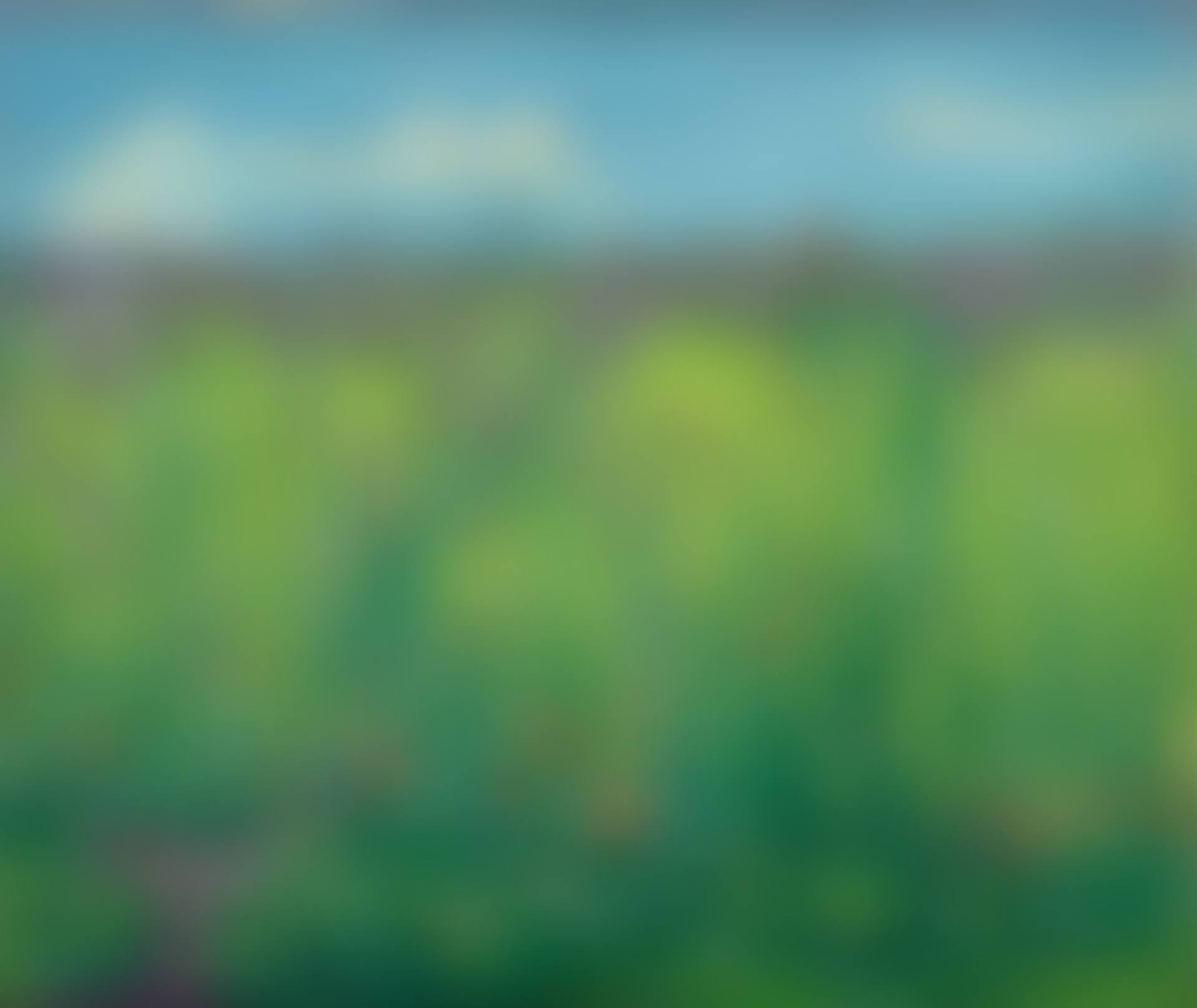 Blühendes Kornfeld (preview)