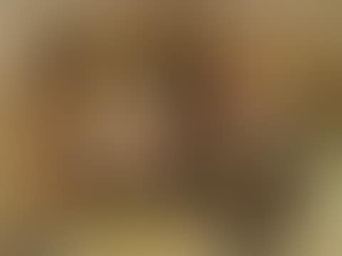 II/2 (preview)