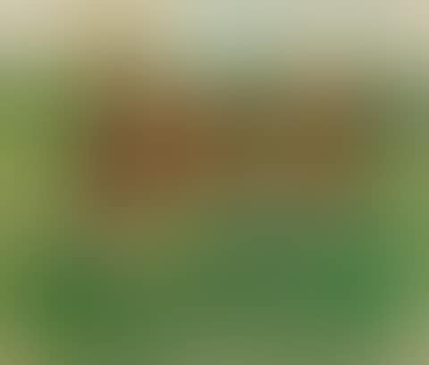 Von der Rennbahn (preview)
