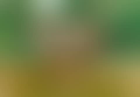 Der Ausritt (preview)