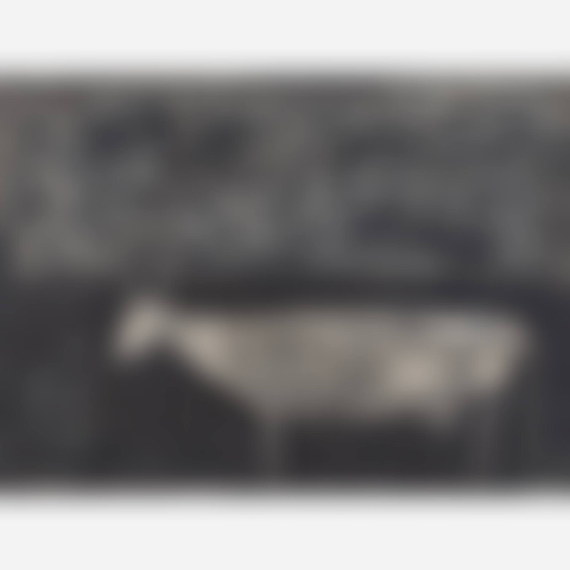 Untitled (Cow) (preview)