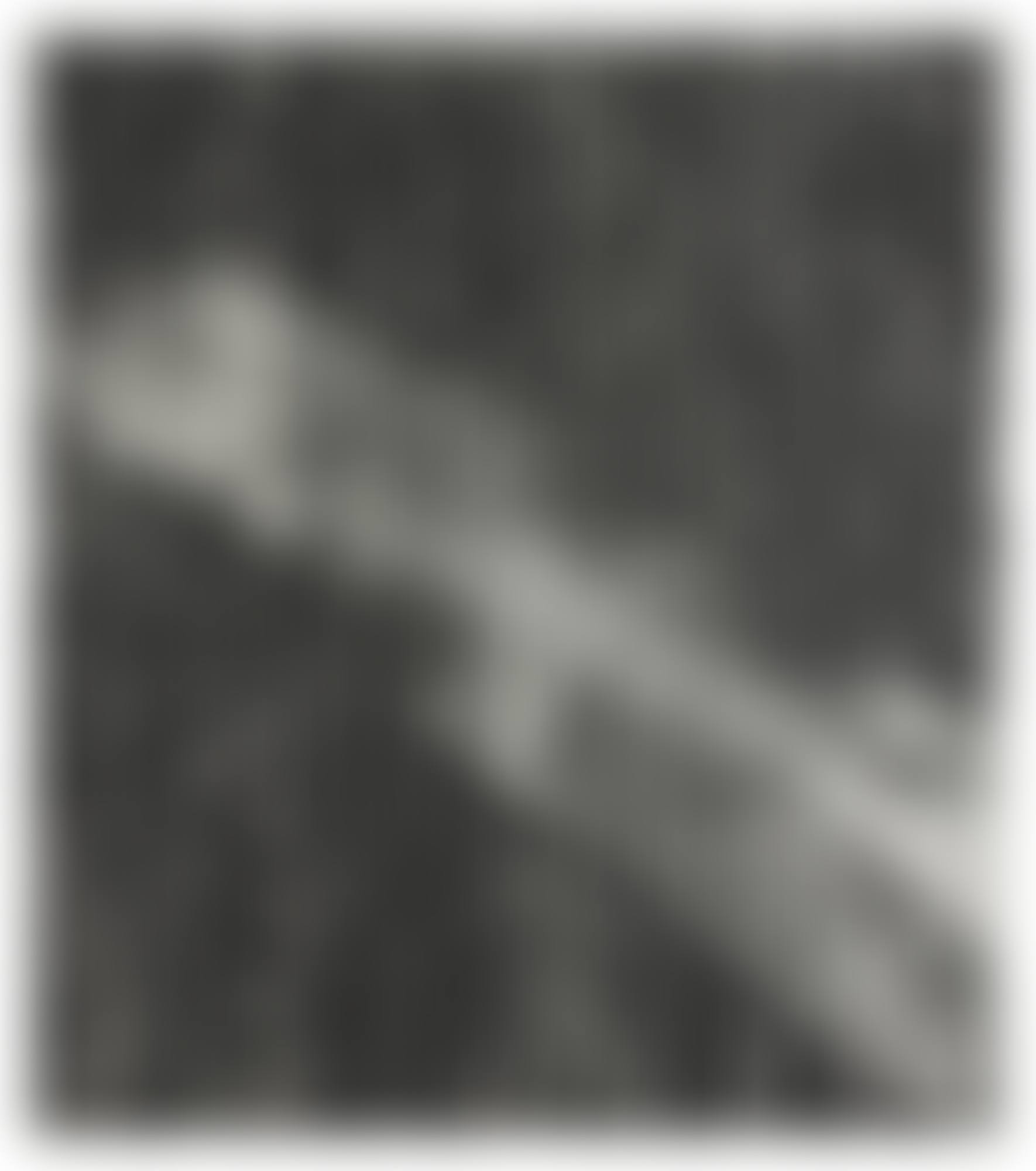 Notwendigkeit (weiB) (preview)