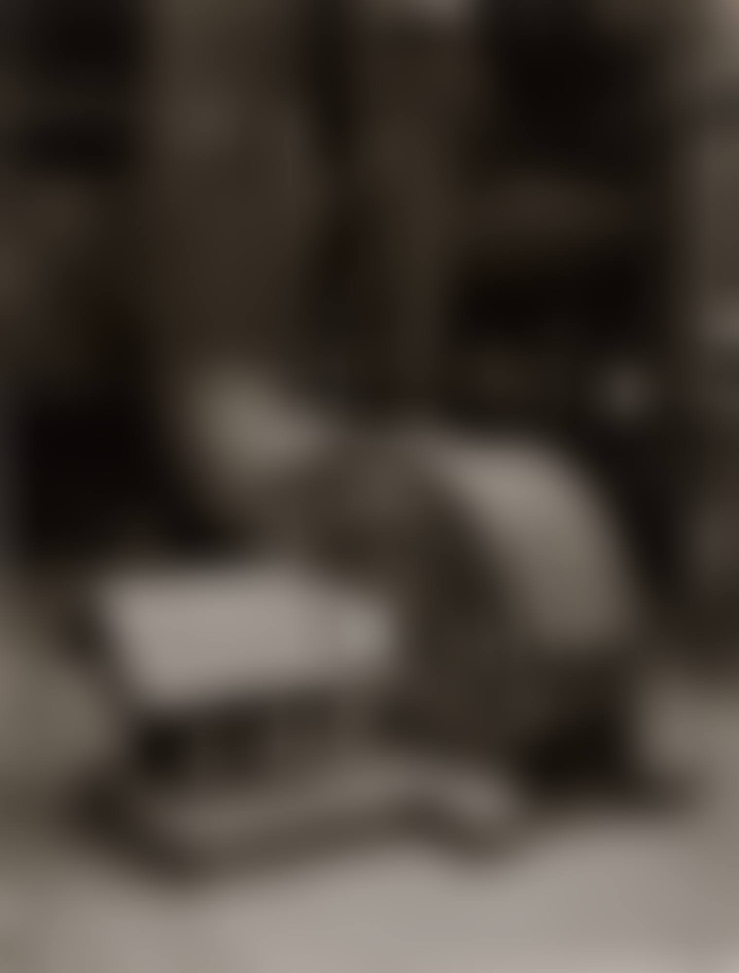 Blast Furnace (Details) (Diptych) (preview)