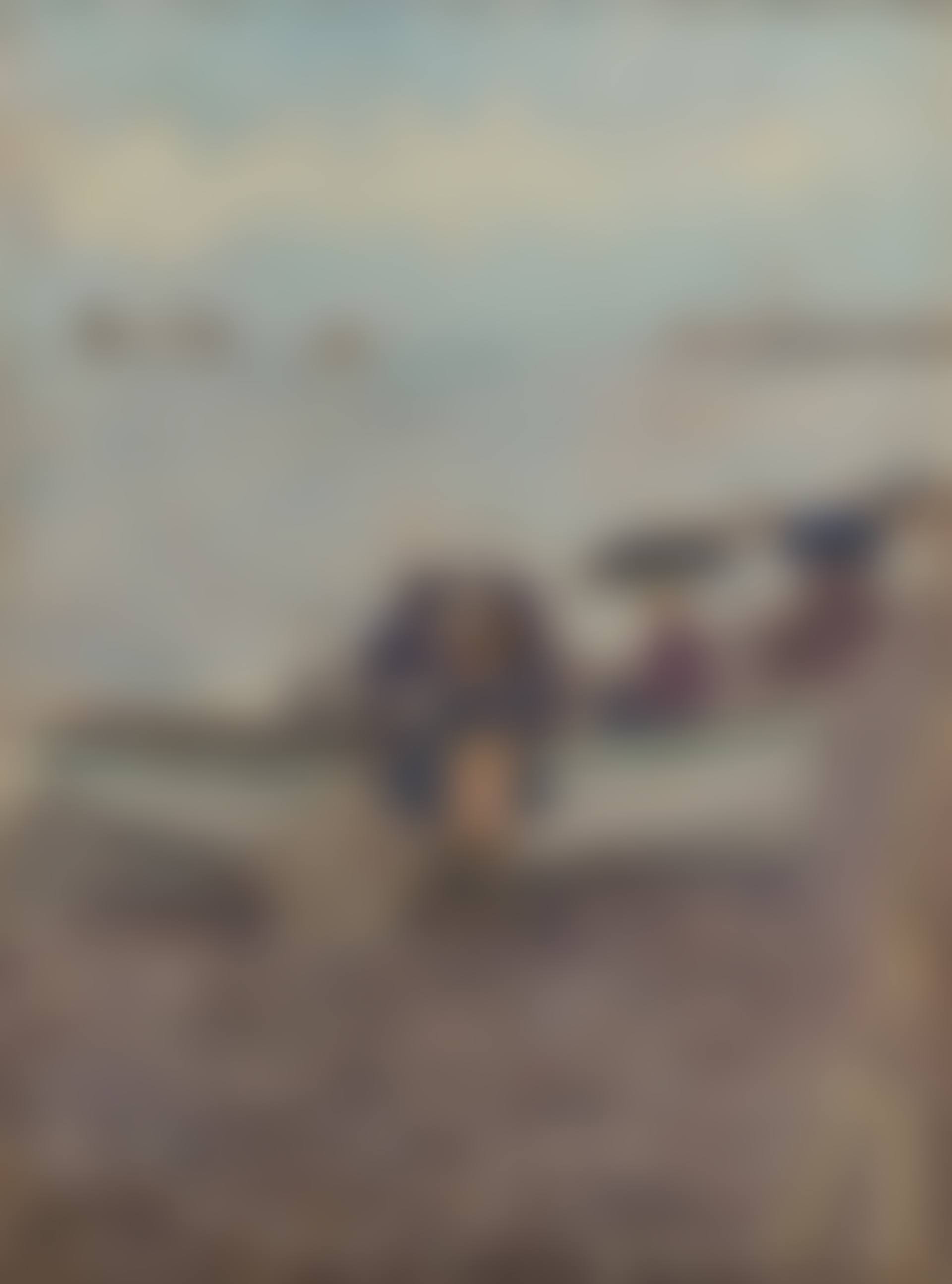 Dieppe (preview)