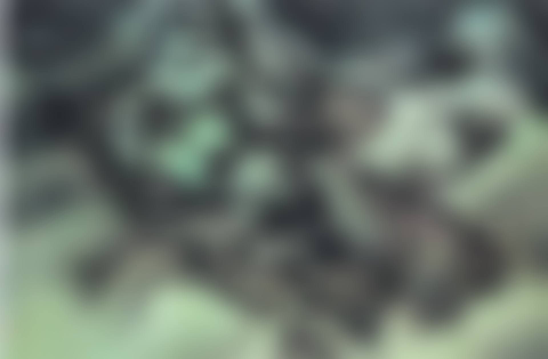 Imagine Landscape No.2 (preview)
