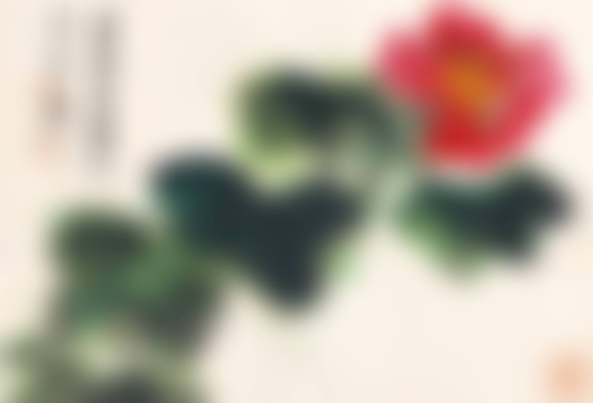 Hibiscus (preview)