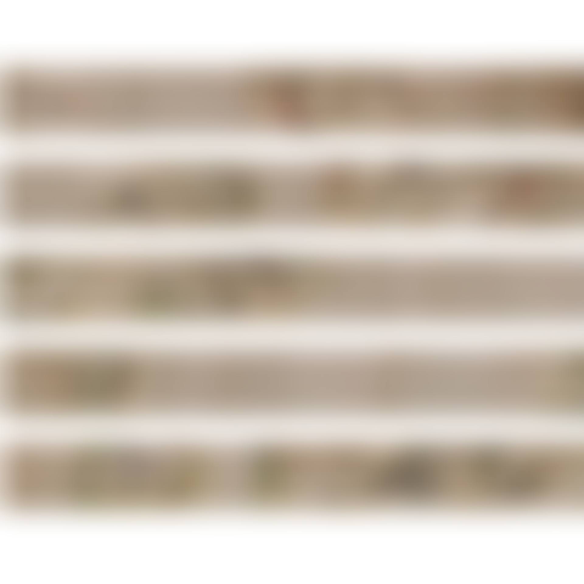 IMPORTANT CULTURAL PROPERTIES (JAPAN) “SHUI-KOTOKU DEN" PICTURE SCROLL VOLUME 8 (GLEANINGS OF BUDDHIST PRIEST HŌNEN) (preview)