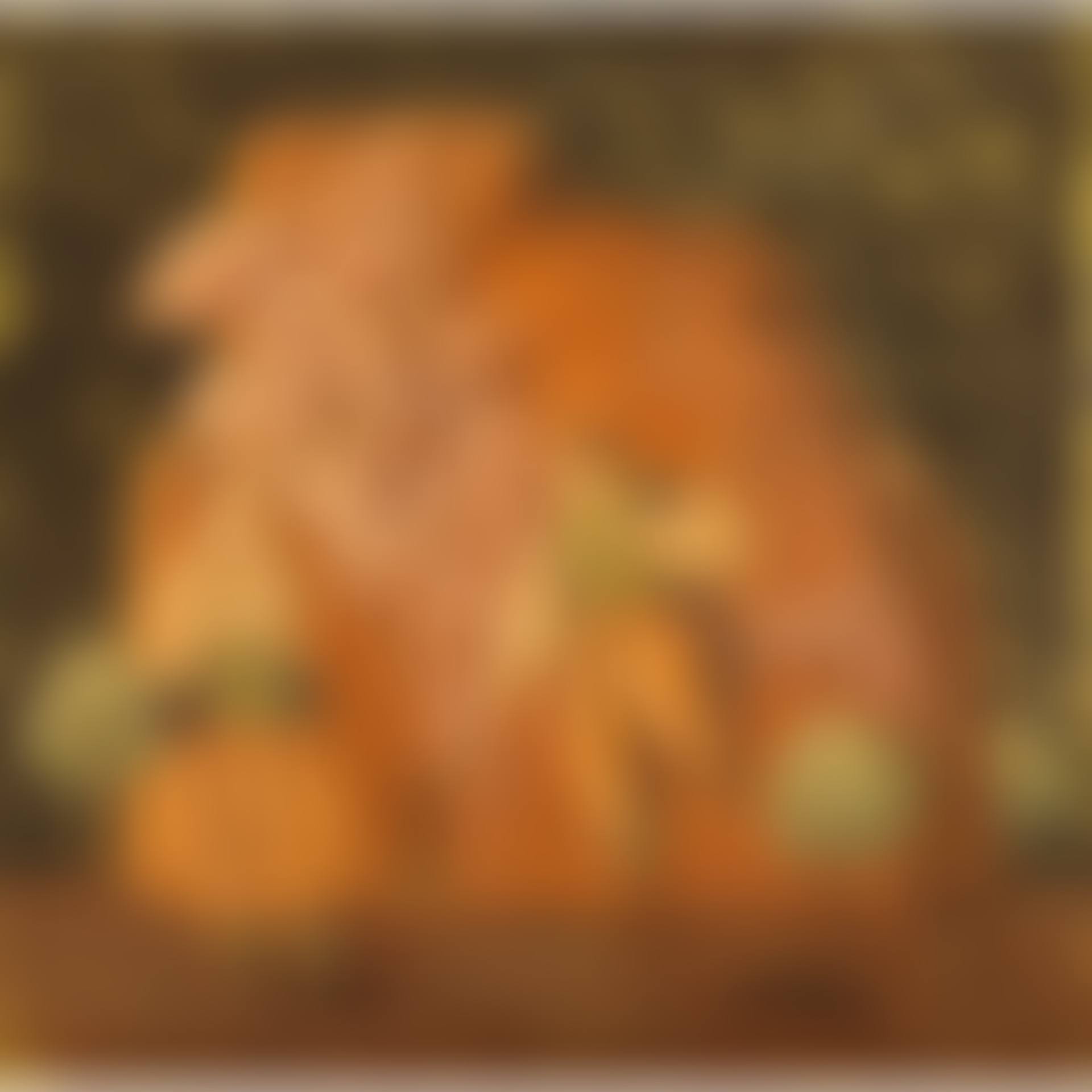 STARRY NIGHT (preview)