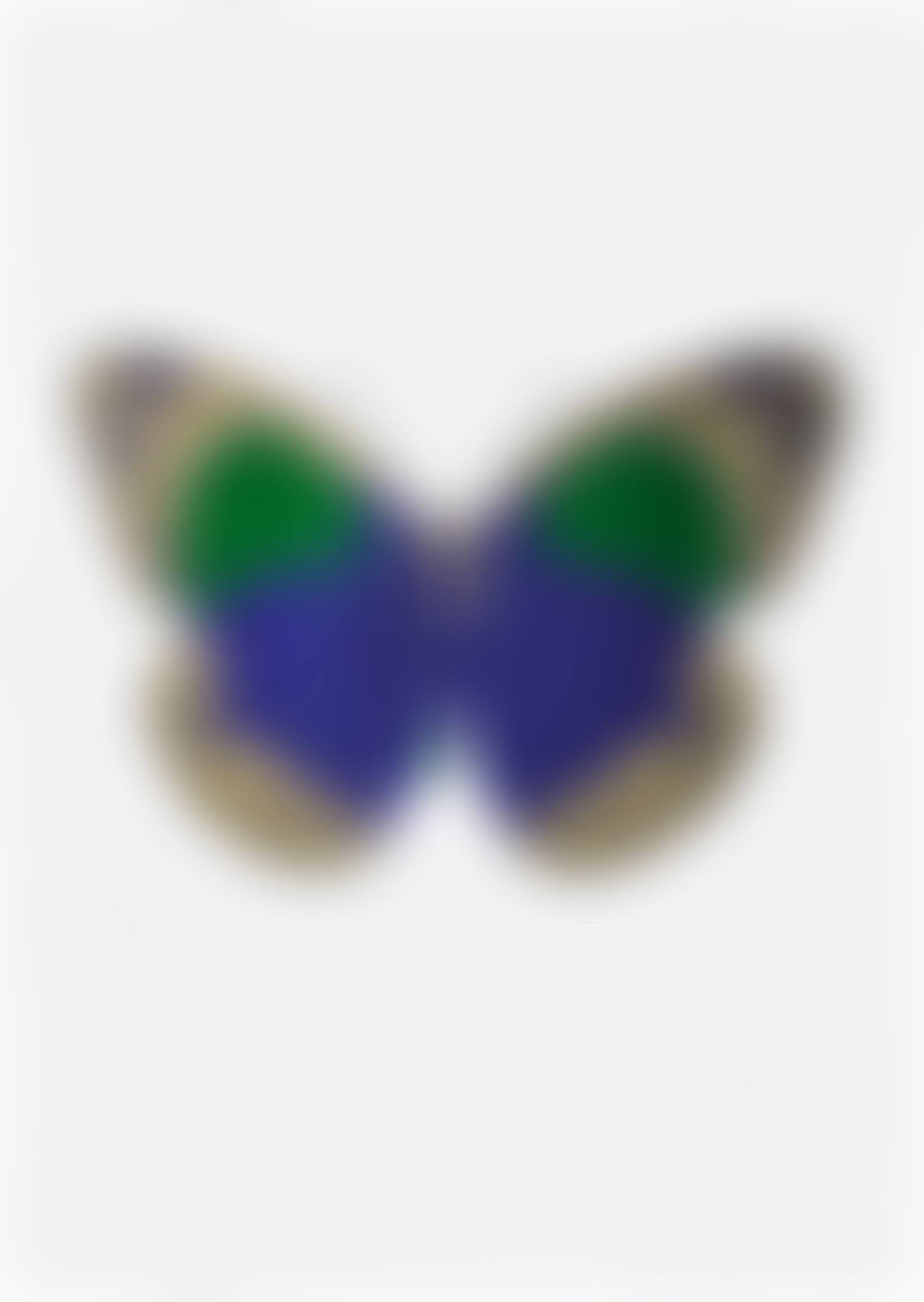 The Souls II - Westminster Blue/Cool Gold/Emerald Green (preview)