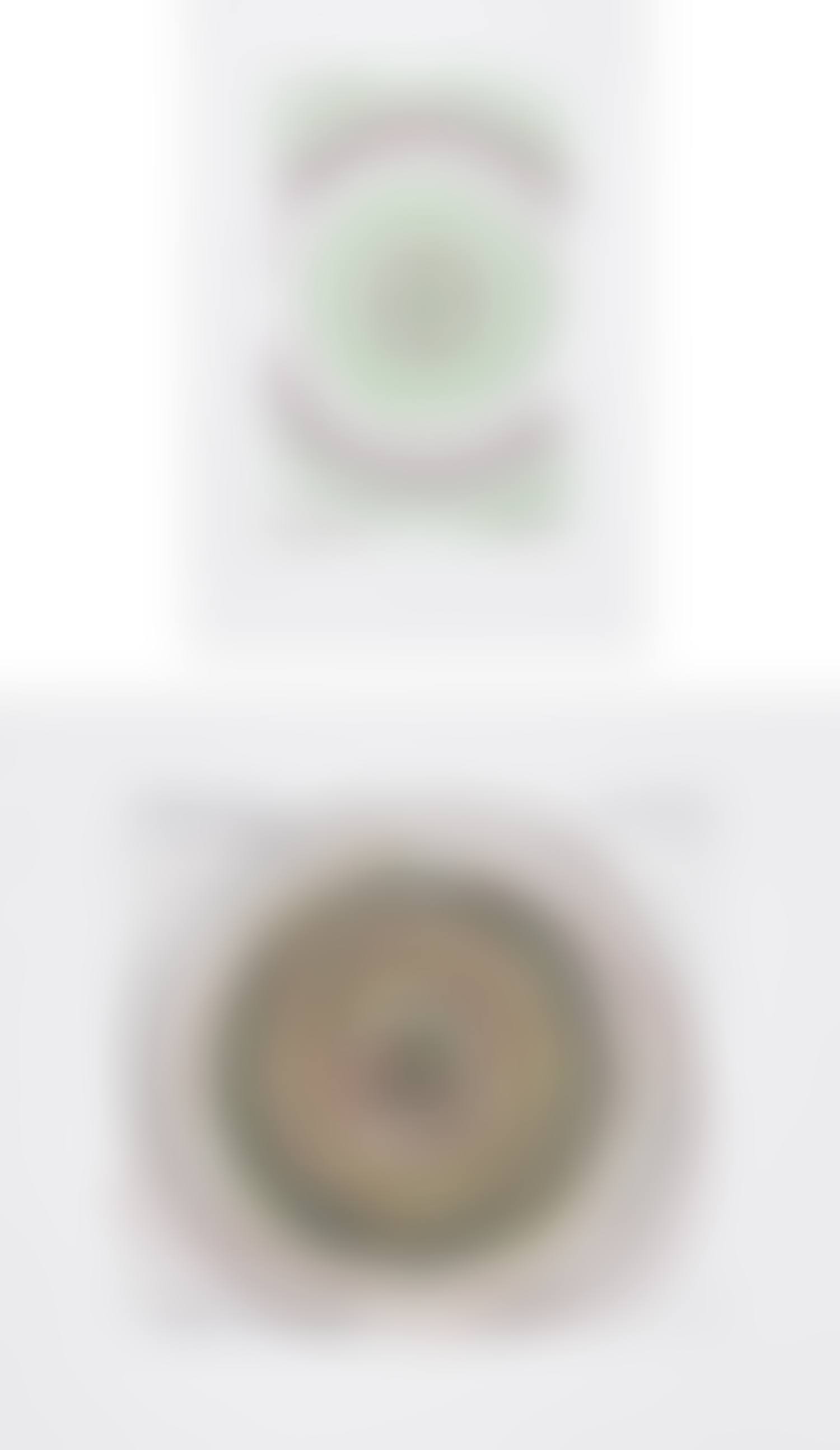 In a Spin, the Action of the World on Things, Volume I: two plates (preview)