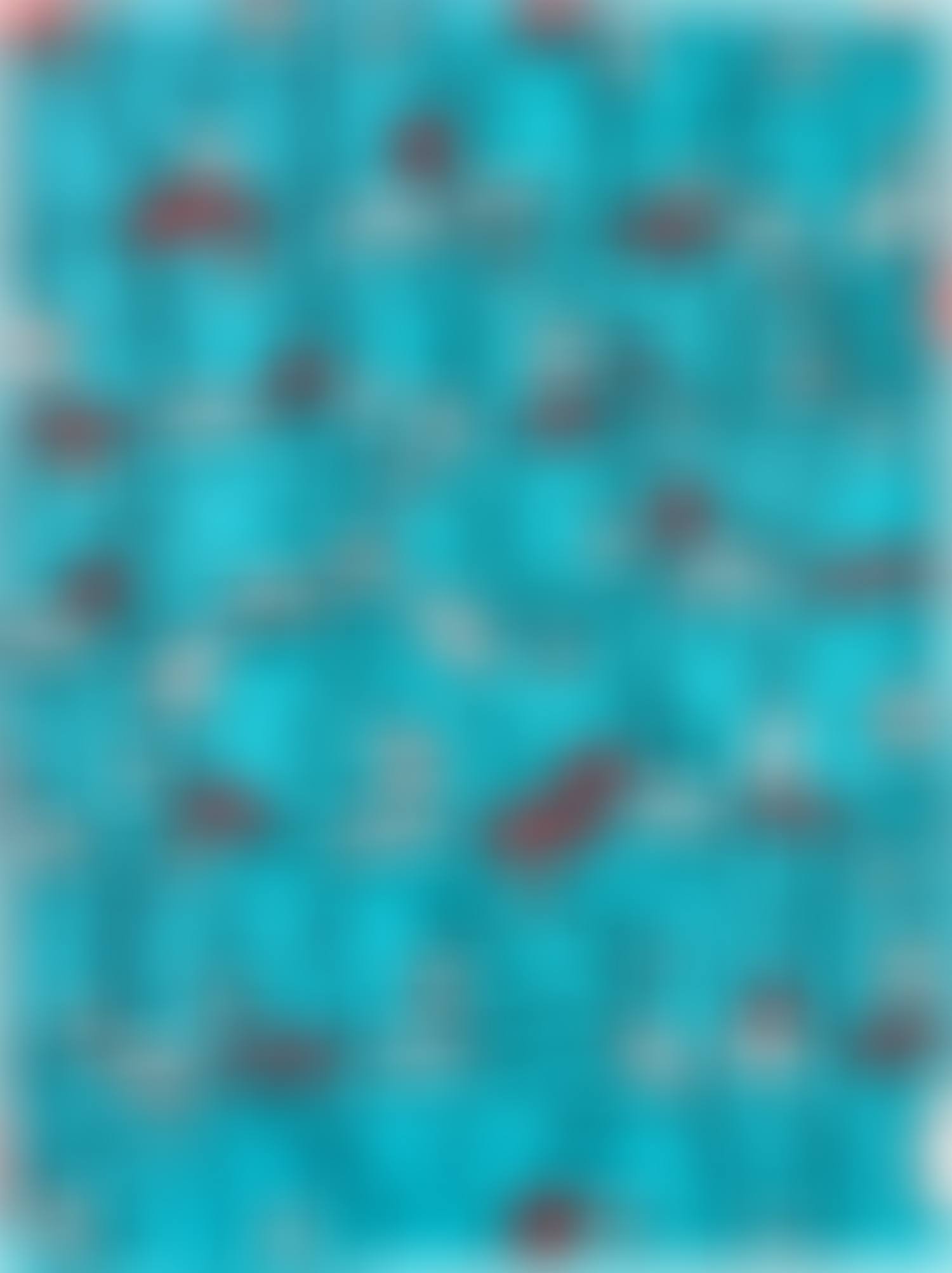Fast Form Manifest (Teal) (preview)