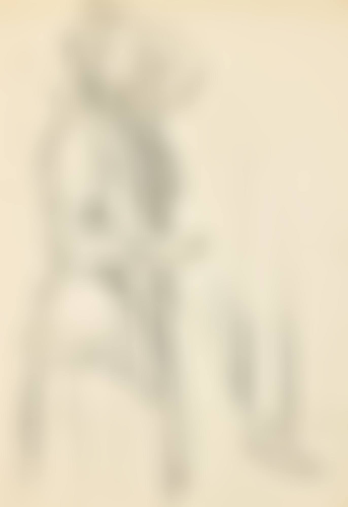 Dorelia in a Headscarf (preview)