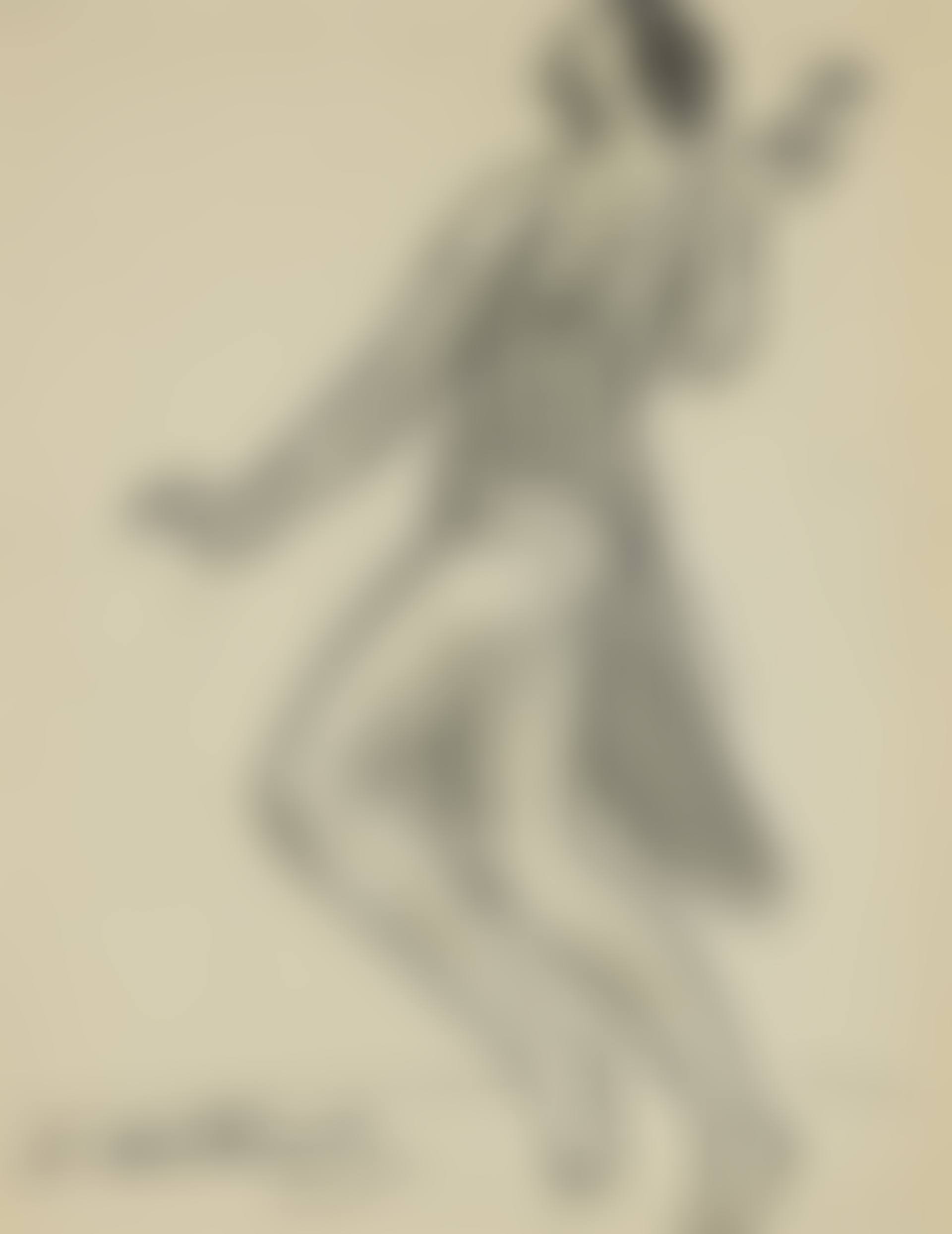Isadora Duncan (preview)