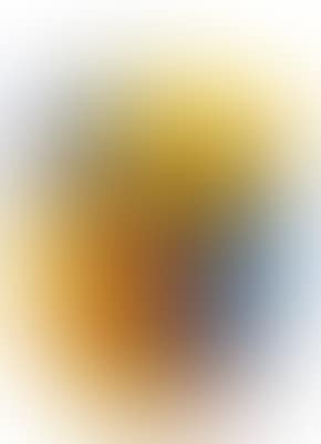 Compression de bidons (preview)