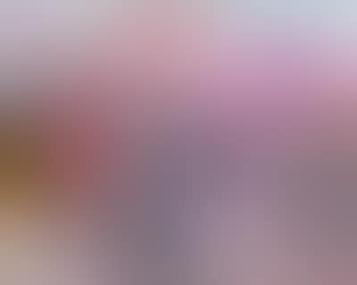 La valle (preview)