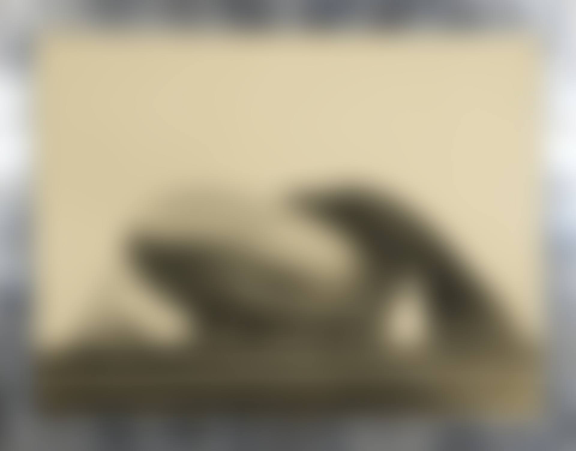 Untitled, Zeppelin (preview)