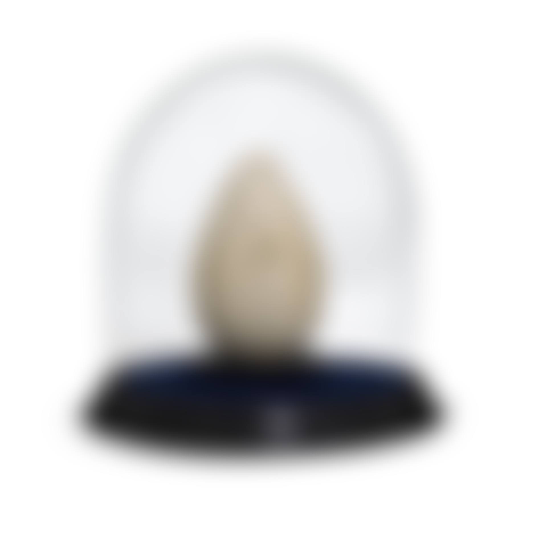 Great auk egg (preview)