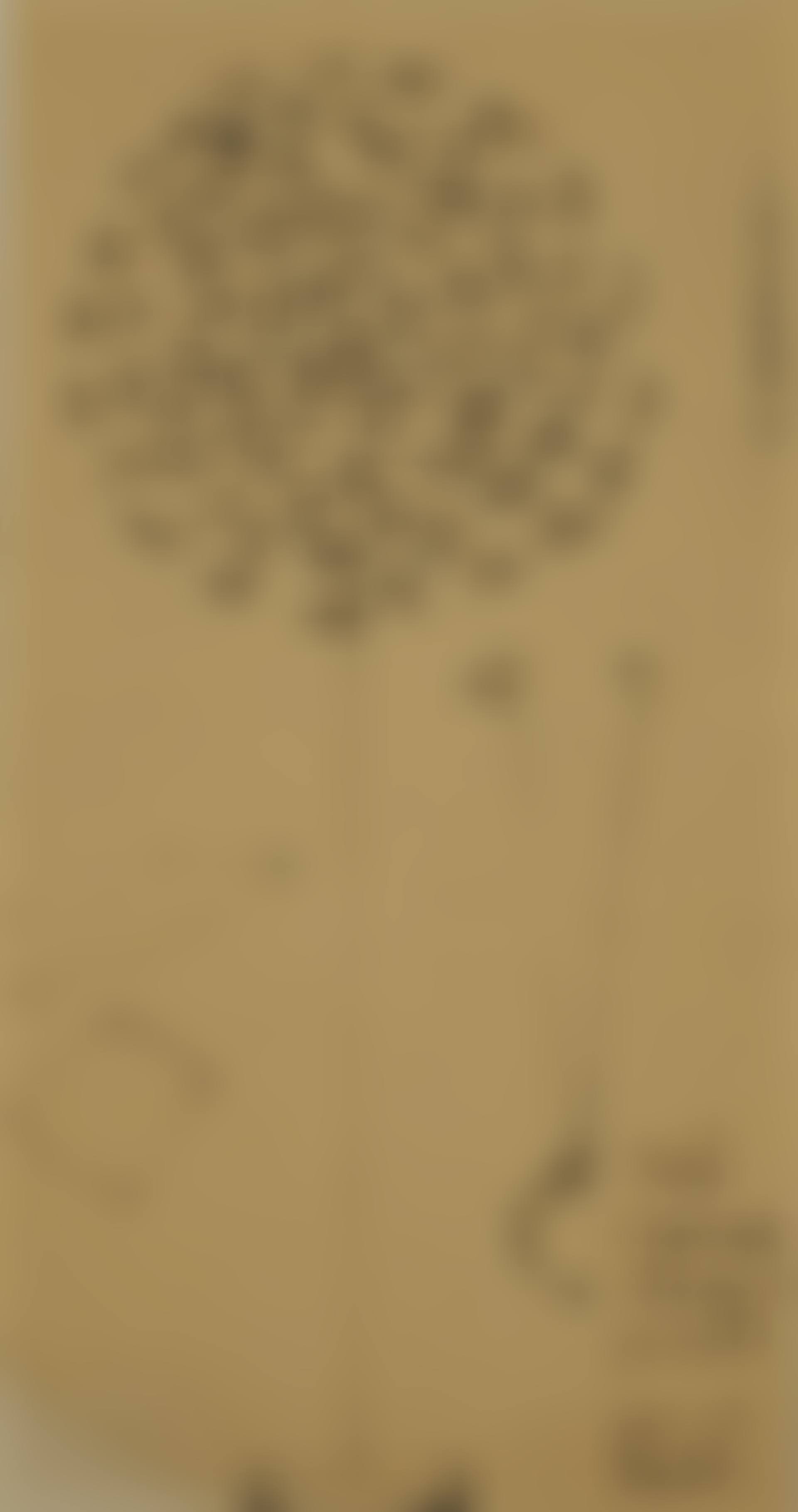 Study for sculpture (preview)