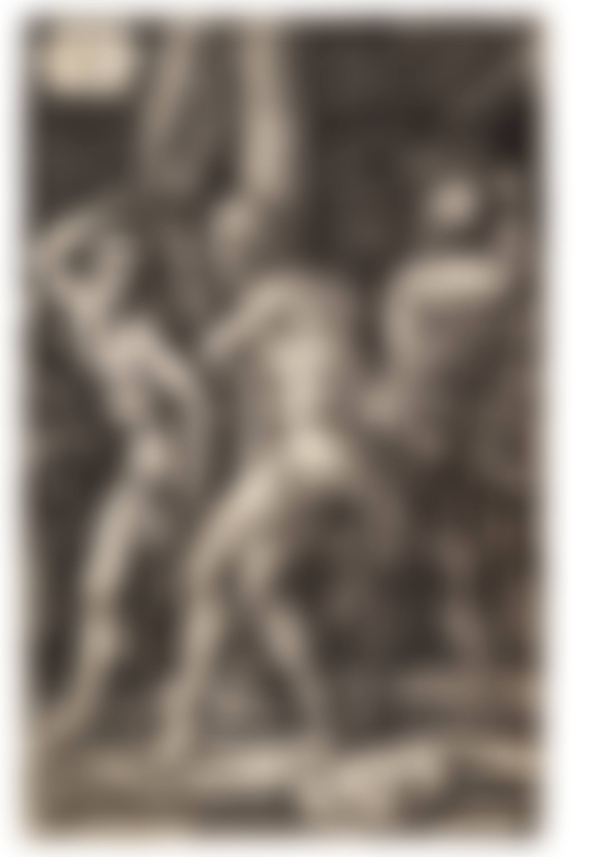 The Flagellation, from: The Engraved Passion (preview)