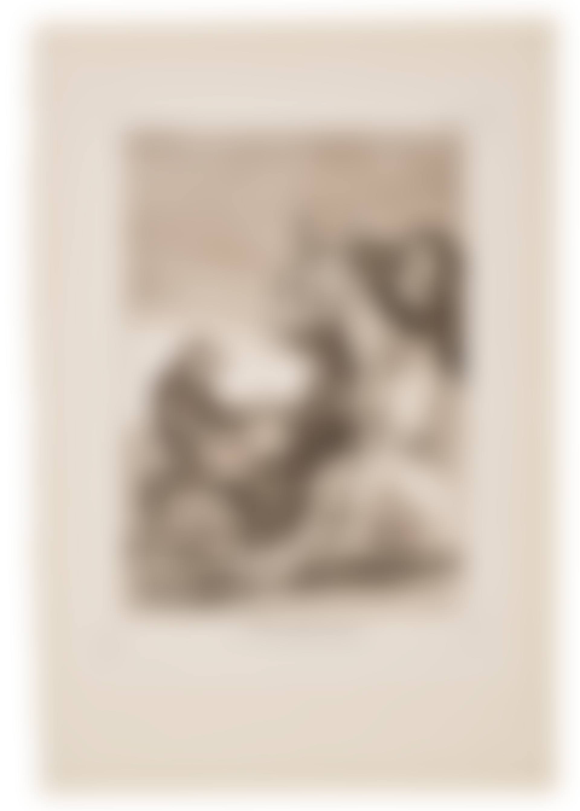 Bravo! (Brabisimo!), Plate 38 from: Los Caprichos (preview)