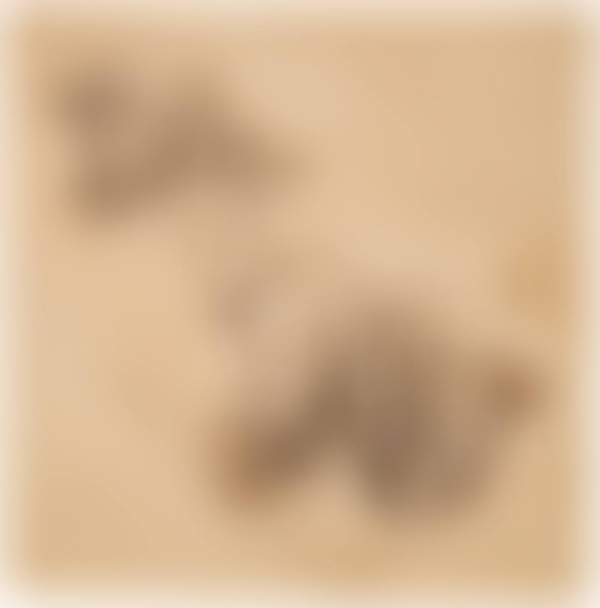 Two studies of turbaned men (preview)