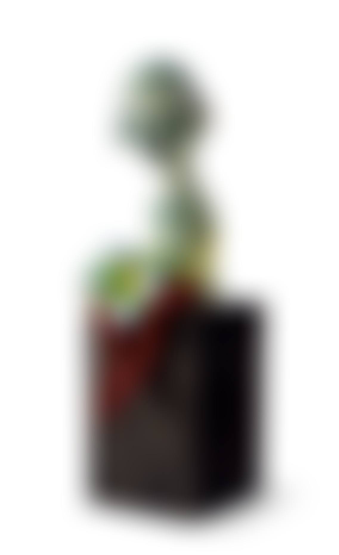 Untitled (preview)