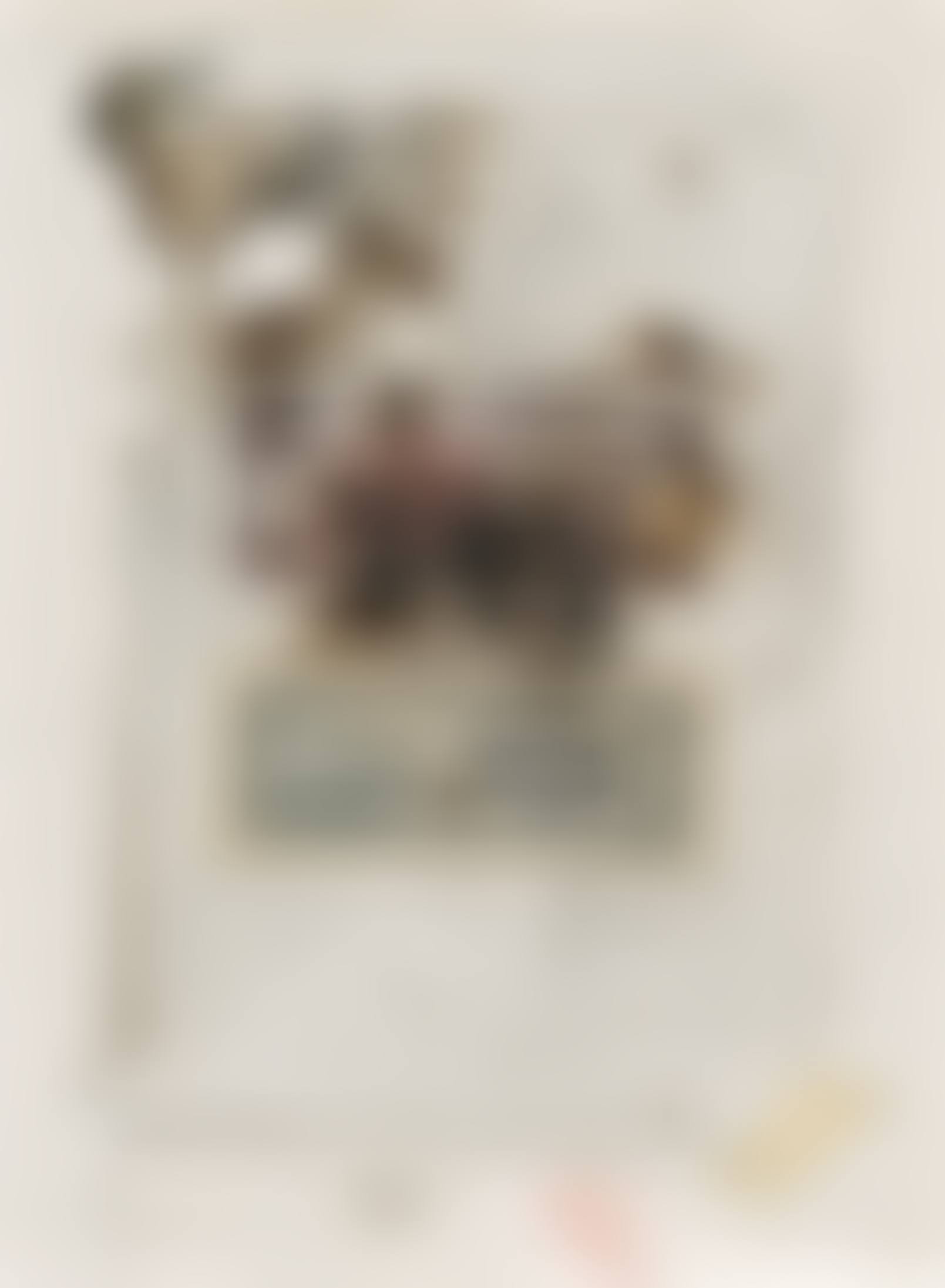 Jin Yan Quan - Numinous Talismans (preview)