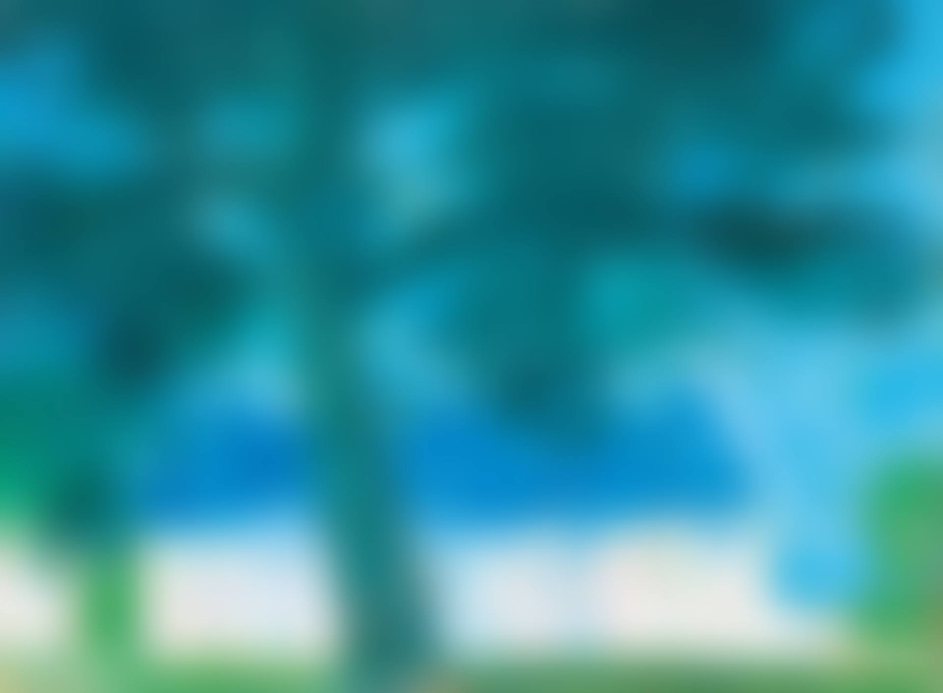 The Big Lime Tree in Loupiegne (preview)