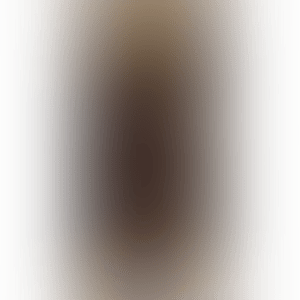 Picabia - His Love and Sincerity Ⅲ (preview)