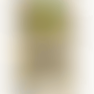 SUNGOES DOWN (preview)