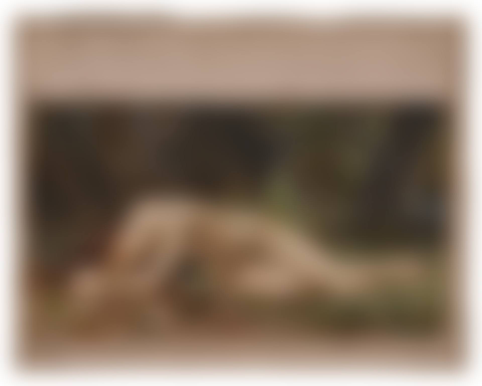 Study for Biblis (preview)