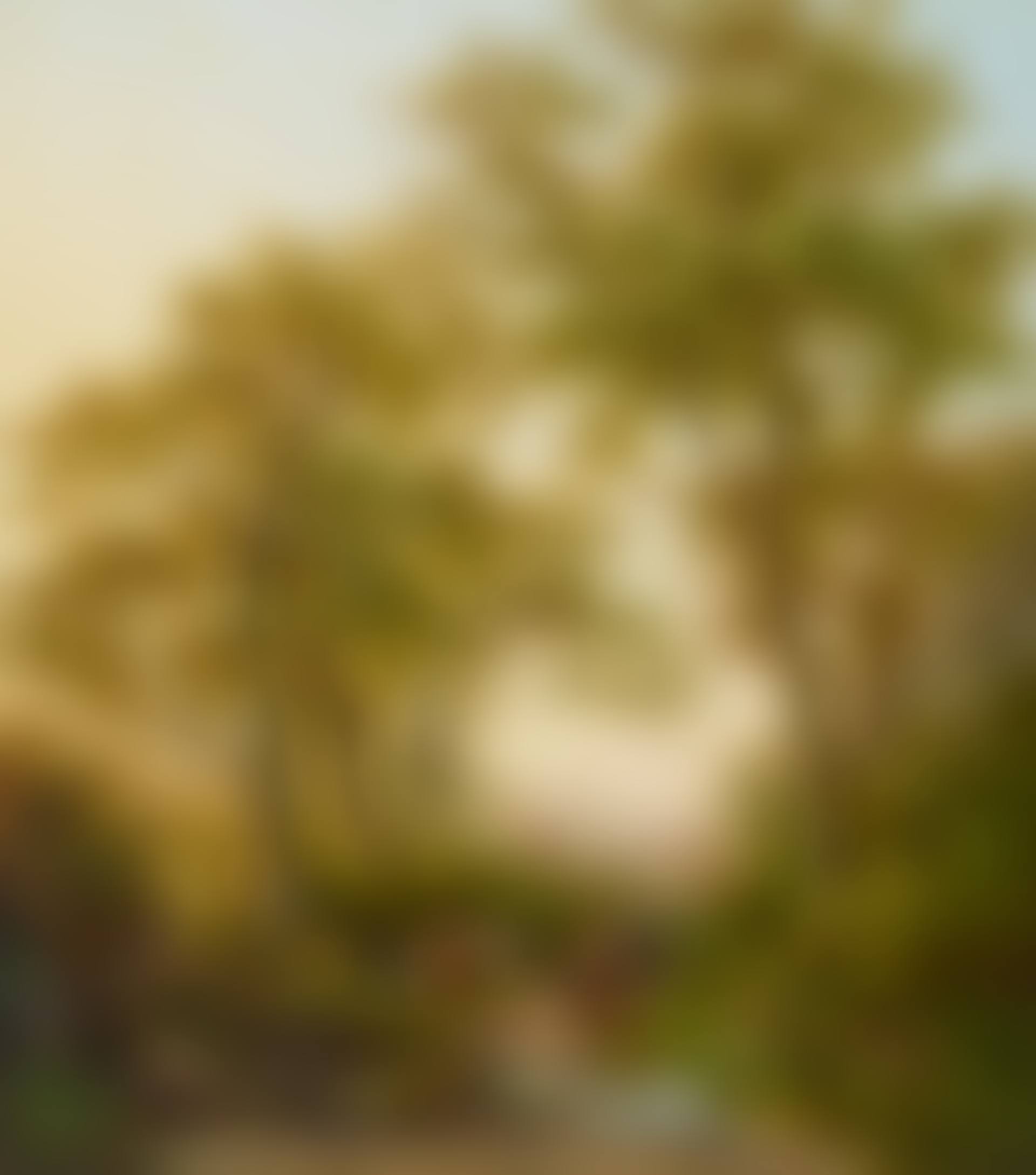 Op weg naar de markt: A wooded landscape with travellers on their way to the market (preview)