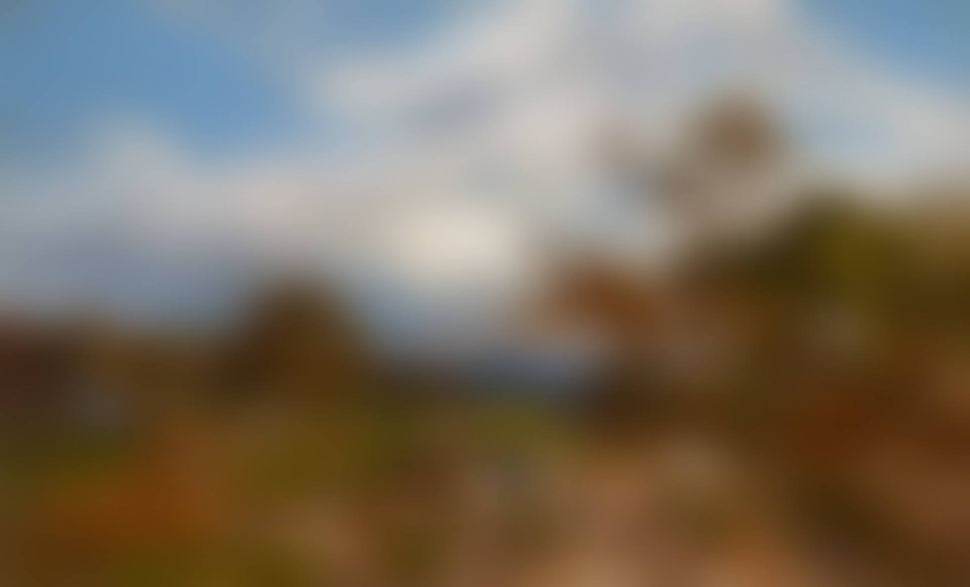 Cattle and Drover with an Extensive River Landscape Beyond (preview)