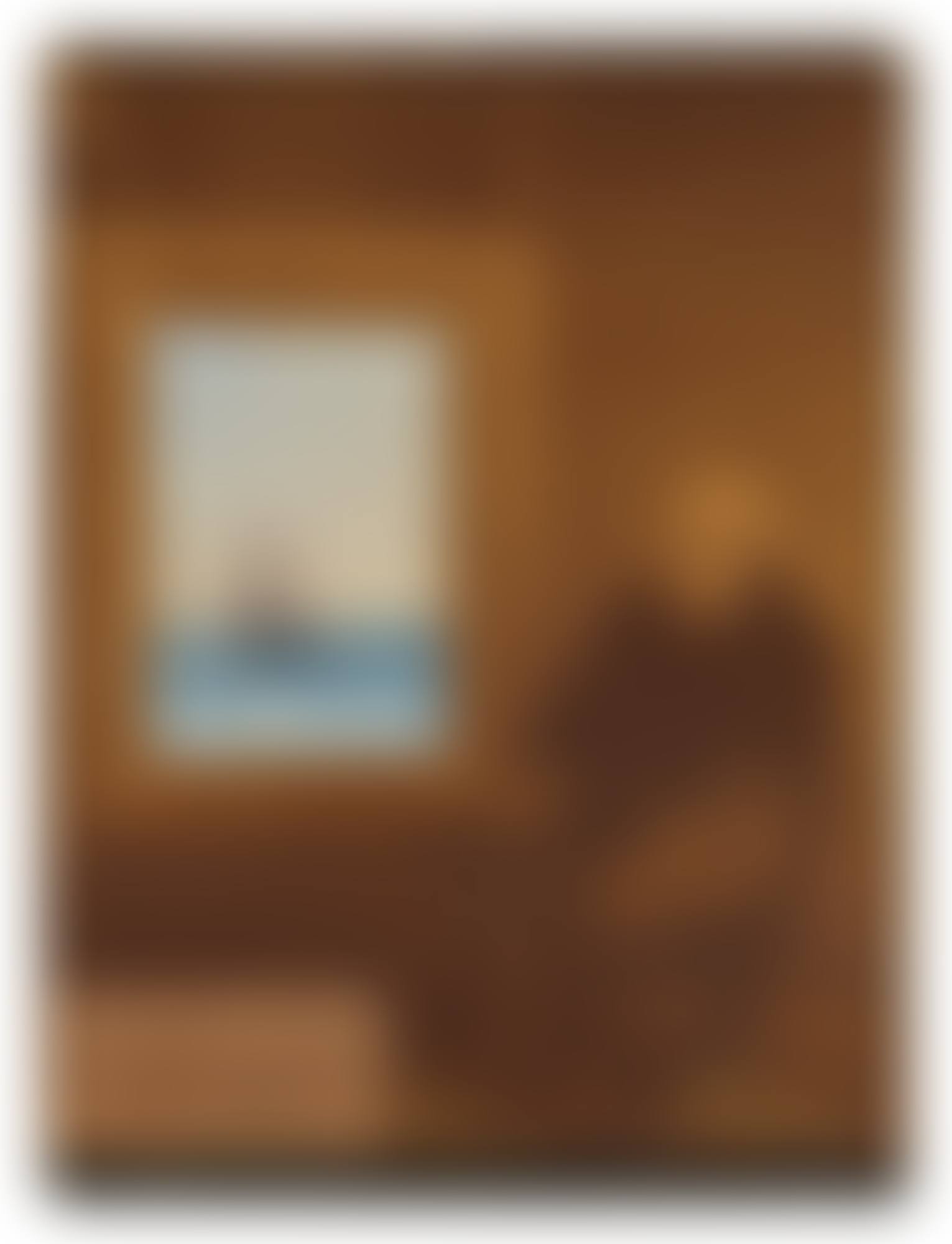 A Ship off the Coast (preview)