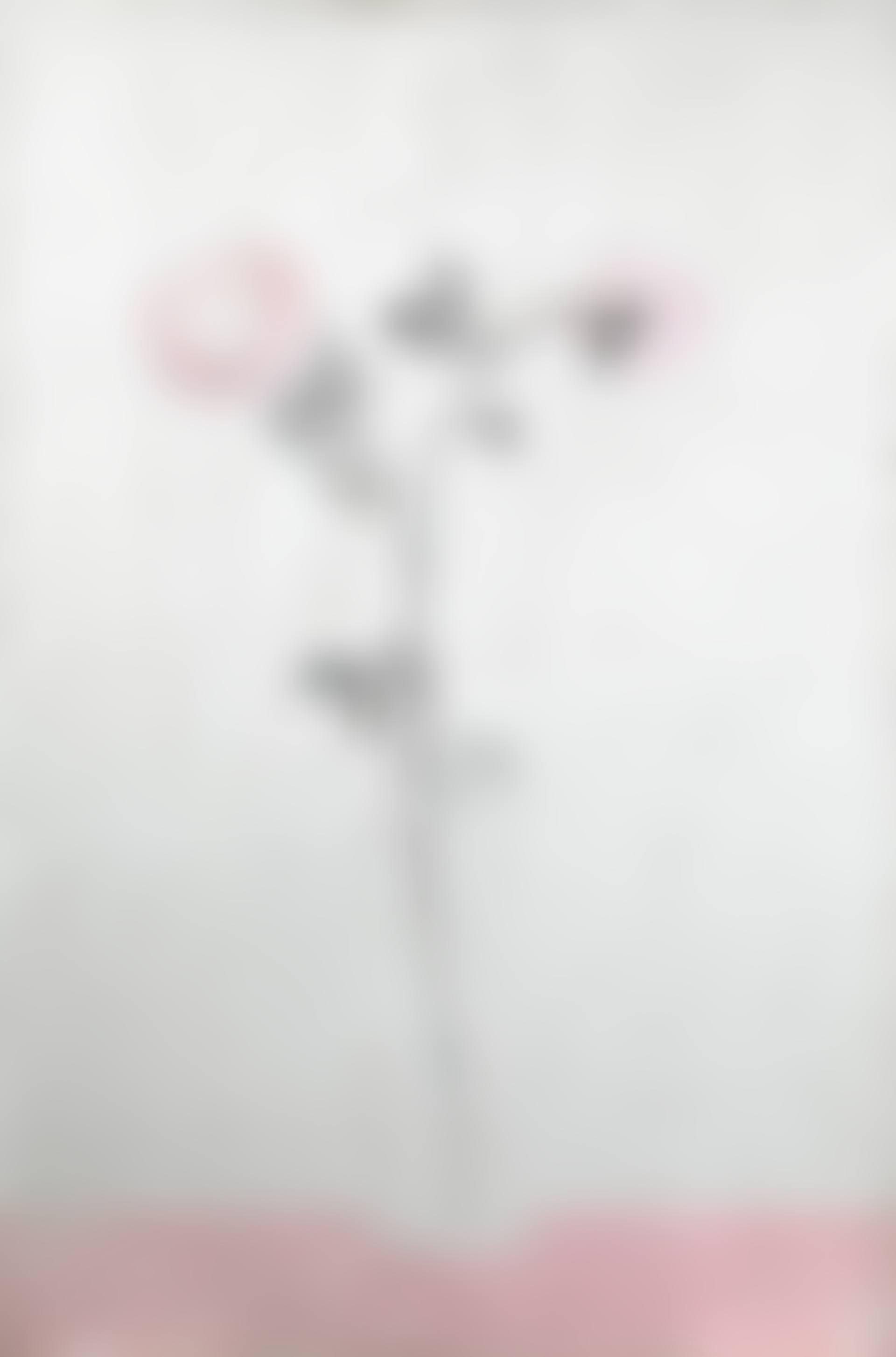 Two Pink Chrysanthemums in a Clear Vase (preview)