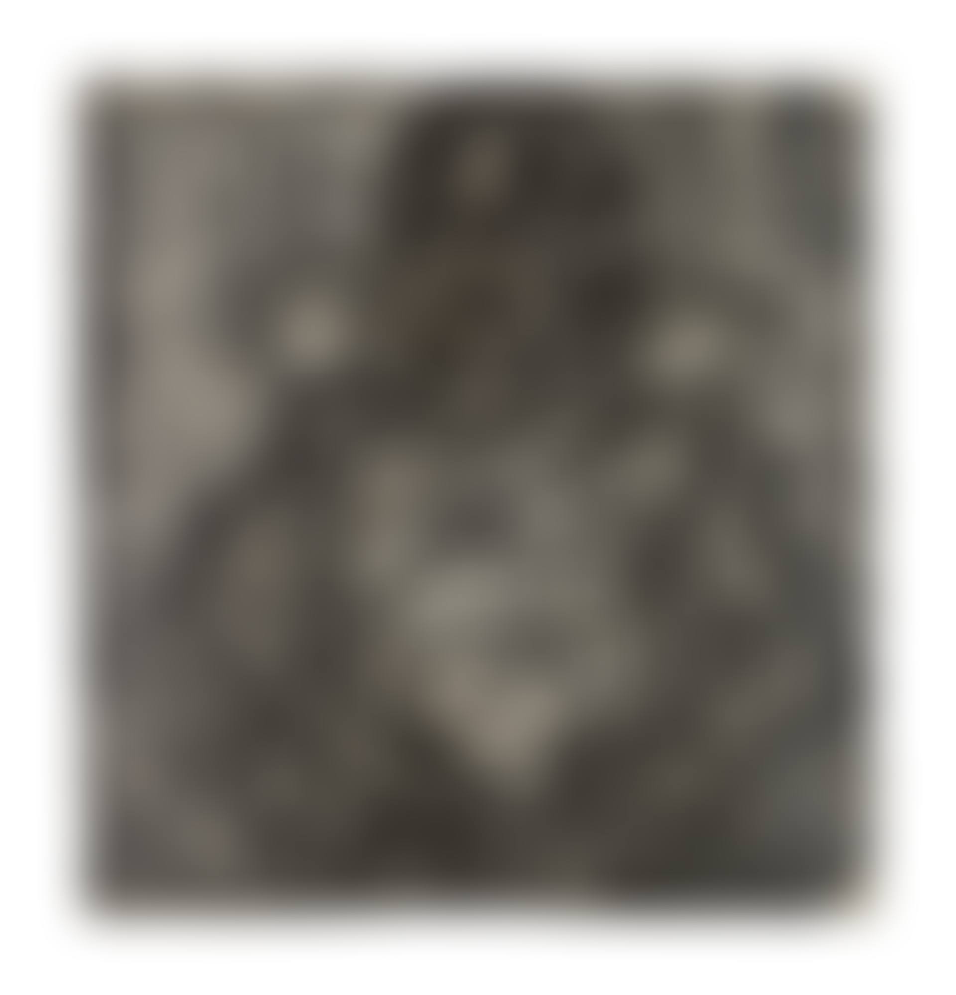 Head of Tom Phillips (preview)