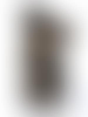 Torso (preview)