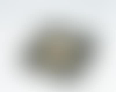 Sonnenscheibe (preview)