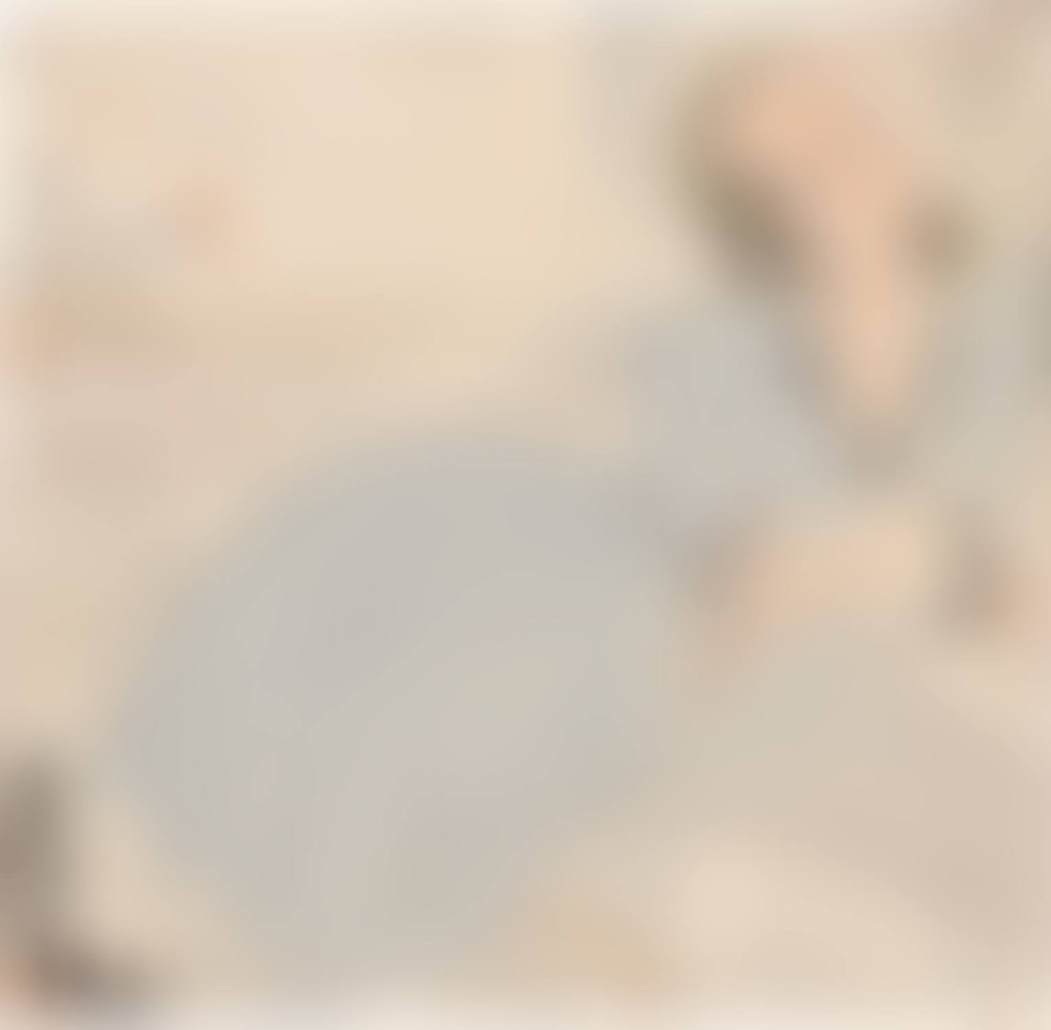 Jeune Femme (Portrait of a Young Lady) (preview)